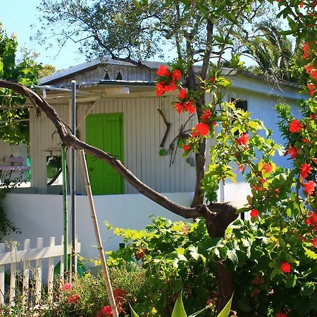 Apartamento Kimera *