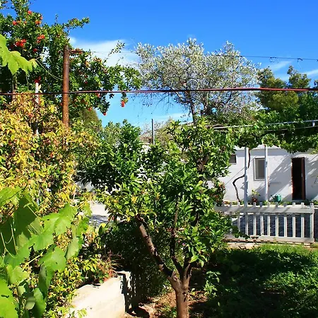 Appartement Kimera Beach *